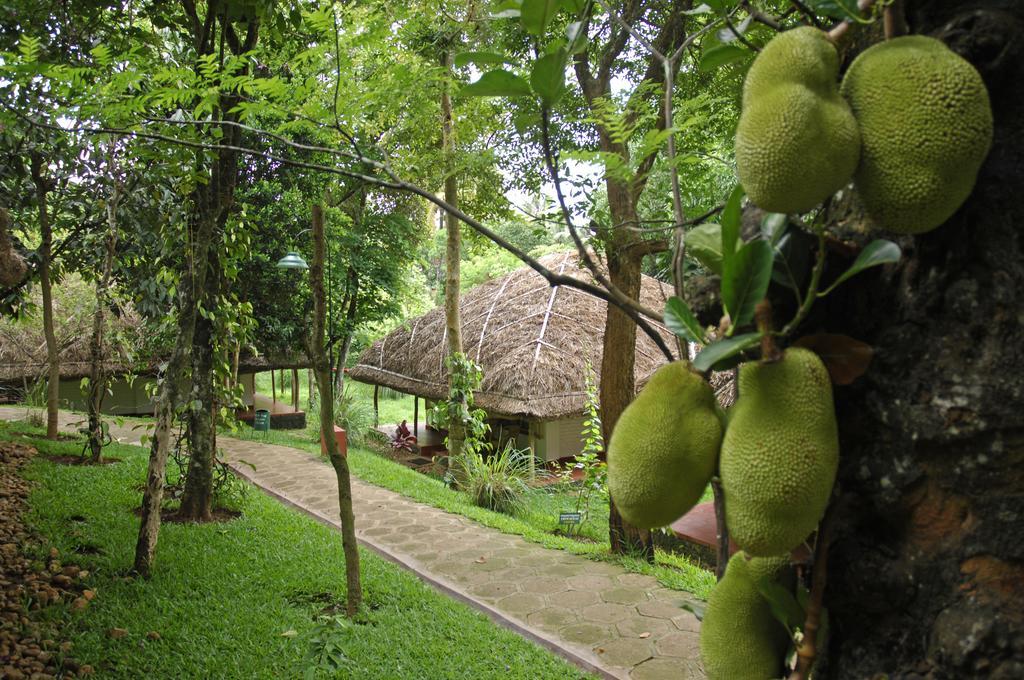 Spice Village Thekkady - A Cgh Earth Experience Dış mekan fotoğraf